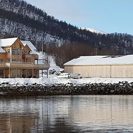 Amazing And Secluded Northern Light Near Sea And City! Apartment *