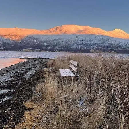 Amazing And Secluded Northern Light Near Sea And City! Selnes (Tromso)