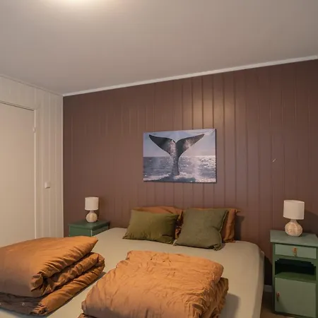 Amazing And Secluded Northern Light Near Sea And City! Apartment