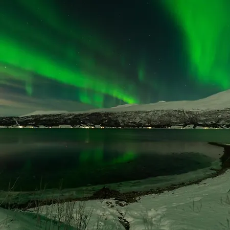 Amazing And Secluded Northern Light Near Sea And City! *