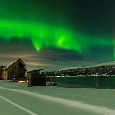 Amazing And Secluded Northern Light Near Sea And City! Apartment